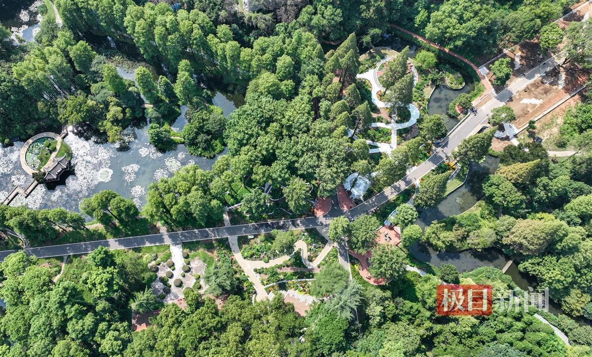 手机现金糖果派对下载