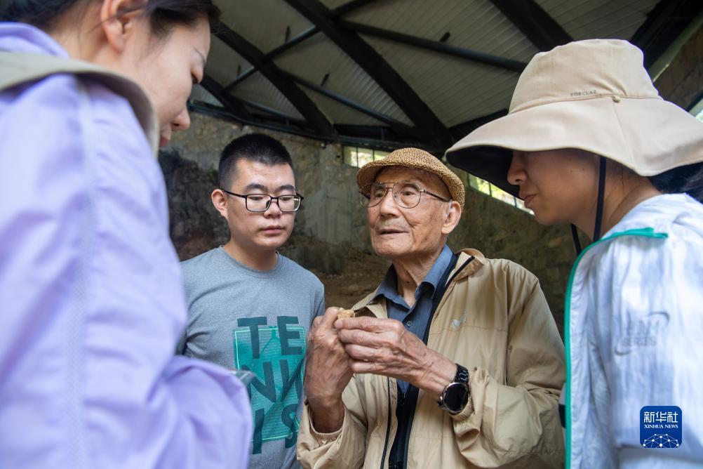 最新白菜彩金